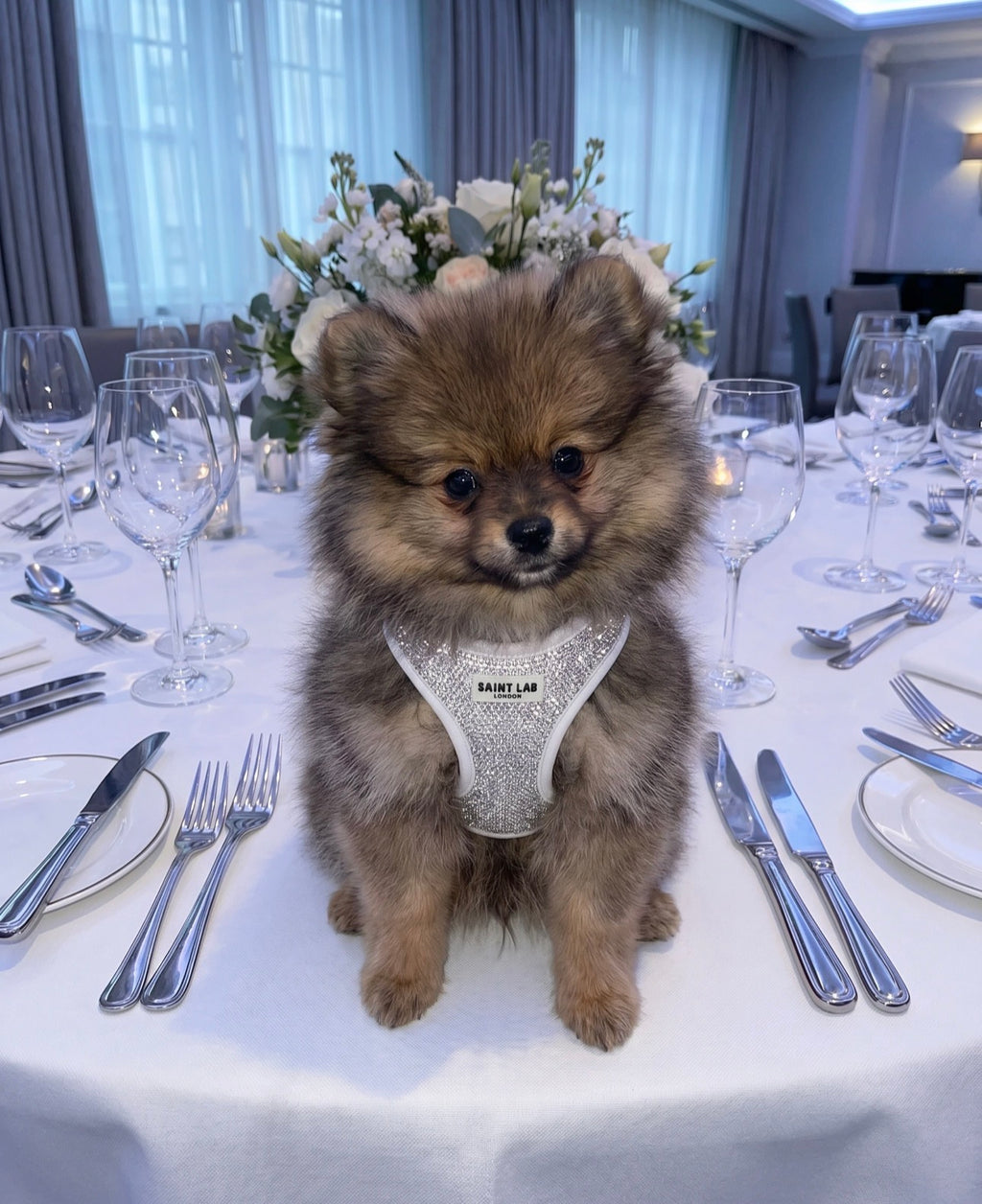 Saint Lab Crystal-Embellished Vest Harness