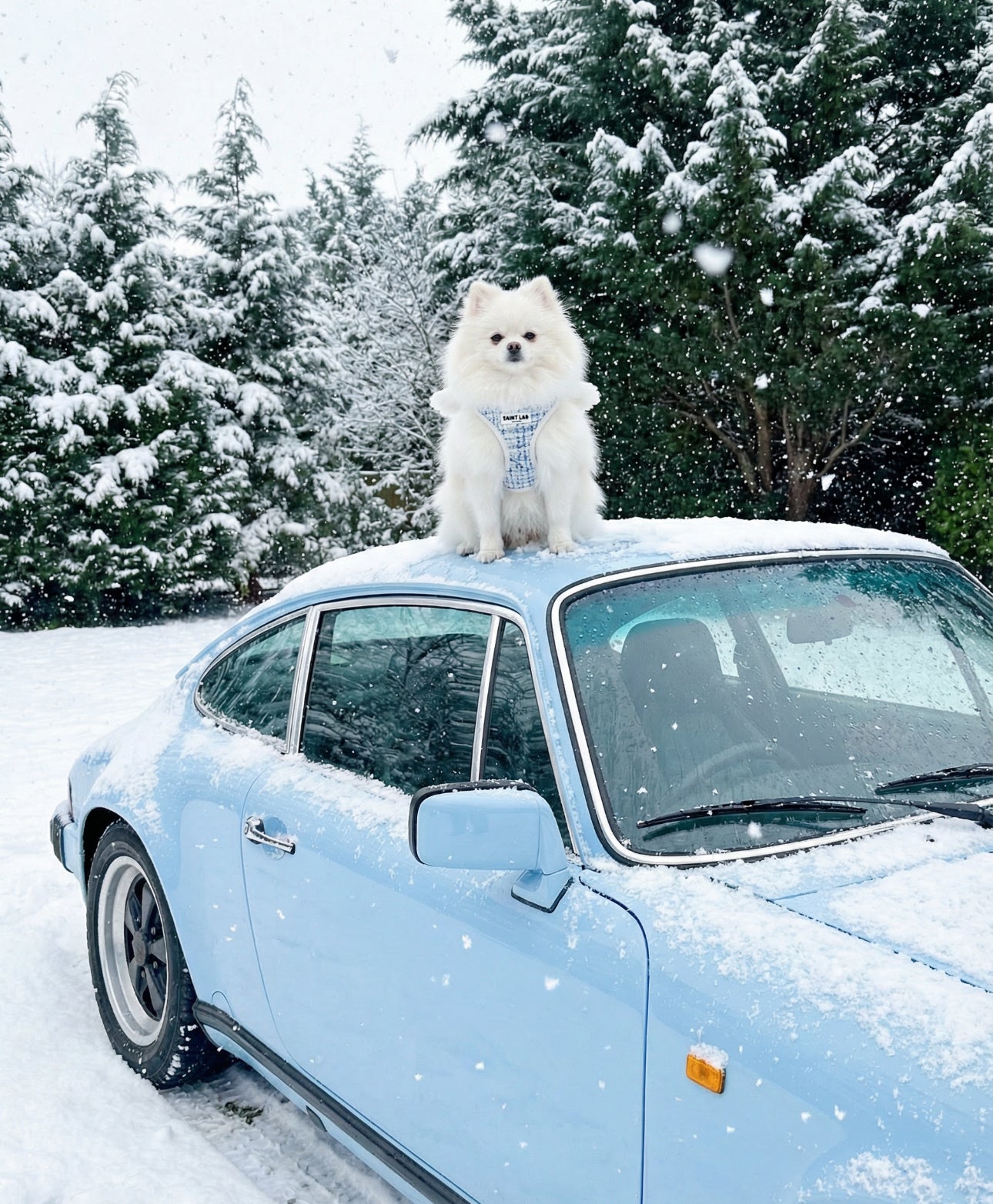 Saint Lab Classic Tweed Vest Harness