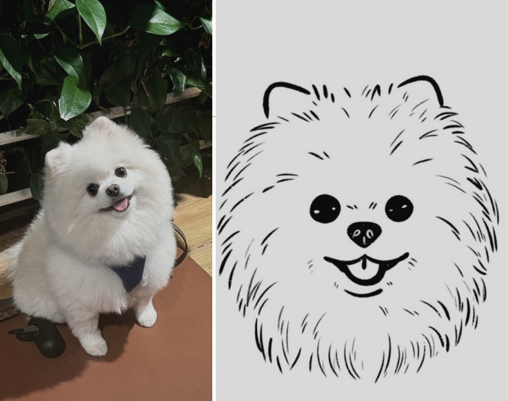 Your Pet Illustrated by Saint Lab